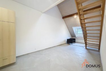 1 Bedrooms Flat, Duplex