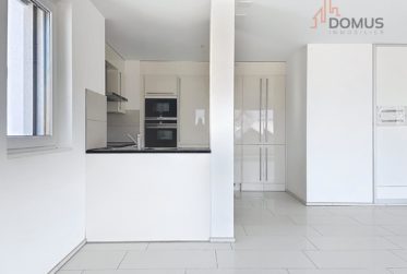 Flat, Condominium flat