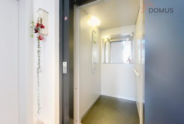 Flat, Condominium flat