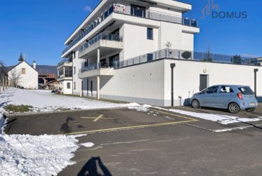 Flat, Condominium flat