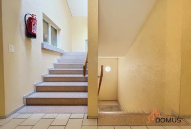 3 Bedrooms Flat, Renovated flat