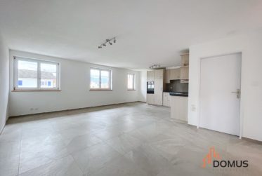 3 Bedrooms Flat, Renovated flat