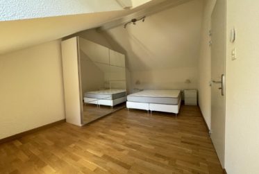 Proche de Bâle immeuble de rendement entièrement rénové de 6 appartements 7 places de parking pas de vacants.