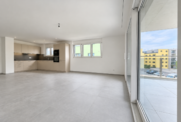 Appartement, Appartement neuf
