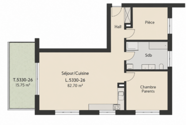 Appartement, Appartement neuf